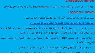 Mechanisms of DNA repair طرق اصلاح والتئام الدنا اد جمال حسان [upl. by Silenay110]