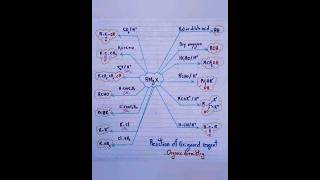 Organic Chemistry Reaction Of Grignard Reagents For Quick Revision Short Trick [upl. by Verdi]