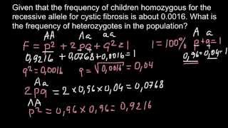 25 Population Genetics NonRandom Mating Mutation Migration Genetic Drift amp Natural Selection [upl. by Nayd]