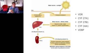 Gregory Plotnikoff  The Clinical Utility of 125 Dihydroxyvitamin D [upl. by Zetana]