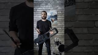 Miracle Of Sound  Valhalla Calling tagelharpaviolin cover tagelharpa talharpa scandinavia [upl. by Rip]