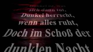 Das Dunkel  Robert Gernhardt  Poems [upl. by Nhguavoj]