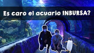 Cuánto cuesta ir al acuario INBURSA de la CDMX  Somosjovynath [upl. by Ynot]