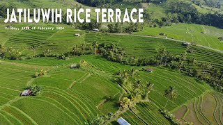 JATILUWIH RICE TERRACE [upl. by Acinoda883]