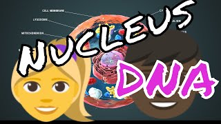 Cell Theory  Part 3  Inside the Nucleus [upl. by Nonahs]