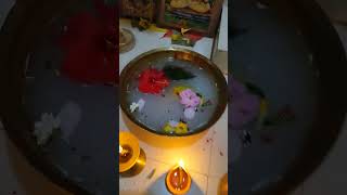 Ganga Dussehra at home festival viral reels [upl. by Sanoj]