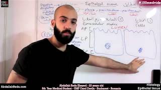 هستولوجي Epithelial cell polarity قطبية الخلايا الغطائية  عبد الله رضا MD  Rocademia روكاديميا [upl. by Cort]