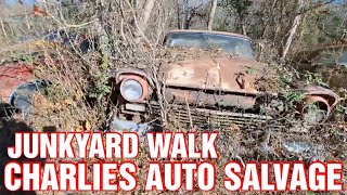 JUNKYARD WALK IN GALLIPOLIS OHIO junkcarwilly junkyard [upl. by Yodlem]