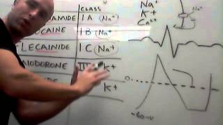 Cardiovascular Procainamide Lidocaine Flecainide Amiodorone Ibutilide [upl. by Akkeber]