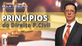 Princípios do Direito Processual Civil [upl. by Ettennaej]