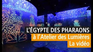 On a visité pour vous LEgypte des Pharaons à lAtelier des Lumières vidéo de lexposition à Paris [upl. by Cirnek171]