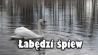 Łabędzi śpiew  Antoni Czechow Słuchowisko [upl. by Rauch587]