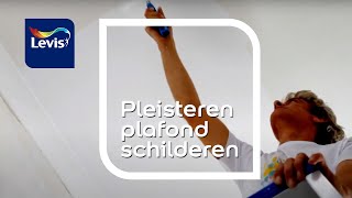 Pleisteren plafond schilderen 8 stappen amp tips  Levis Lets Colour [upl. by Assilana561]