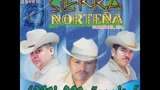 Sierra Norteña La Borrachera [upl. by Giarg500]