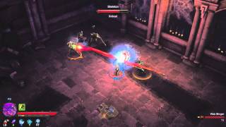 Diablo III  The Coop Mode [upl. by Ecnerrat616]