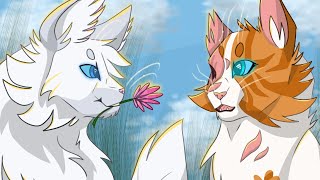 Brightheart X Cloudtail [upl. by Molli]