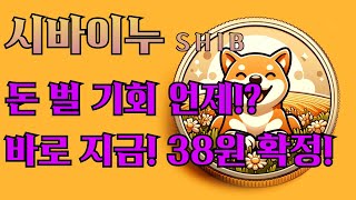 시바이누Shib  도대체 돈은 언제버냐 바로 지금입니다 38원 확정 속보 떳다 시바이누코인 시바이누전망33 [upl. by Atinuhs]