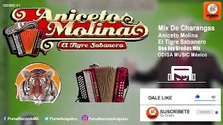 ANDINAS MIX 90s  CUMBIAS ANDINAS PARA BAILAR 2022  SAYA LLAYRAS LOS YESYES XOCHILT ASKIS [upl. by Jewell]