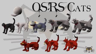 OSRS Guide On Cats [upl. by Theodoric]