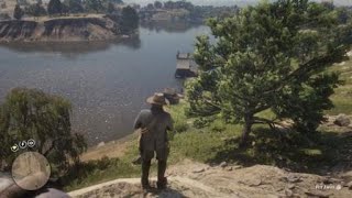 Red Dead Redemption 2  RDR2  BROWN PELICAN  AMERICAN WHITE PELICAN  LOCATION  EXOTIC BIRD MEAT [upl. by Lancelot]