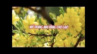 ⚠️ MAI NỤ XỨ LẠNH GIÁ MINI [upl. by Fiorenze]