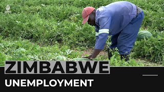 Zimbabwe new graduates start farming due to job shortage [upl. by Omocaig]