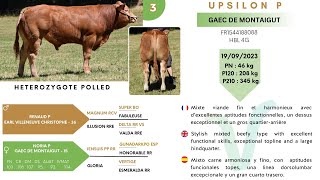 LOT 3  UPSILON P  GAEC DE MONTAIGUT [upl. by Ennaitsirhc]