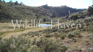 OX Ranch  Wyoming Hunting and Cattle Ranch For Sale [upl. by Hacceber]