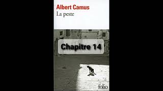 13  La peste de Camus  Chapitre 13  livre audio [upl. by Aiekat286]