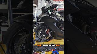 2024 Kawasaki ZX10R ripping on the dyno Ecu flash and dyno tune [upl. by Hahn]