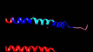 The Role of Alphasynuclein in Parkinsons Disease [upl. by Drarrej441]