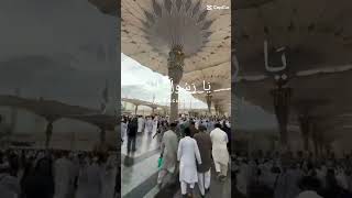 Asalam o alika yea rasool allah ﷺ shorts viralvideo madina [upl. by Ymma]