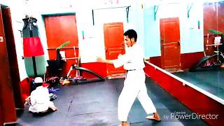 Basic Kicks Compilation  Somair Hossain [upl. by Assille998]