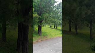 Lot for sale in Pine Grove Phase 1 Crosswinds TagaytayTagaytay City [upl. by Naitsirc788]