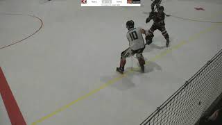 Serie A Masterround Fox Legnaro vs Asiago Vipers [upl. by Aislehc411]