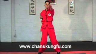 Wing Chun Biu Gee [upl. by Fessuoy]