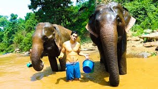 SPENDING A DAY WITH ELEPHANTS Incredible Experience [upl. by Hopfinger]