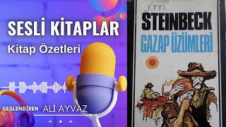 Gazap Üzümleri Sesli Kitaplar Kitap Özetleri  John Steinbeck [upl. by Adnaral]