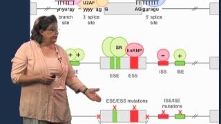 Splicing mutations  Melissa Moore U MassHHMI [upl. by Odnalro875]