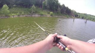 Bass Fishing Taylorsville Lake [upl. by Ailecec]