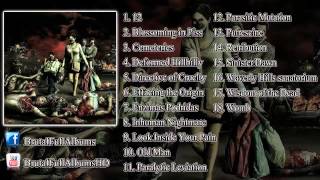 Brutal Full Albums  Brutal Death Metal amp Slamming Brutal Death Metal COMPILATION 2013HD [upl. by Simon]