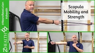 Scapula Strength and Mobility [upl. by Darcy779]