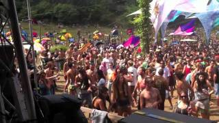 Mindwave Live  OZORA Festival 2011 [upl. by Gwenny]