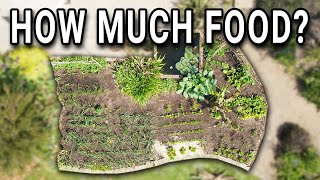 1 Year of Growing Food  A whole season of vegetable gardening [upl. by Ordway146]