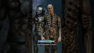 Predator ORIGIN theory you didnt expect predators horror [upl. by Brandtr]