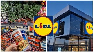 ARRIVAGE LIDL  31 JANVIER 2024 [upl. by Ellenig]