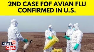 Avian Flu Threat  Second Human Case Confirmed In US First In Texas  US News Today  N18V [upl. by Neelrahc149]