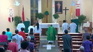 Parish of the Incarnation Live Stream Youth Mass [upl. by Ardekahs222]