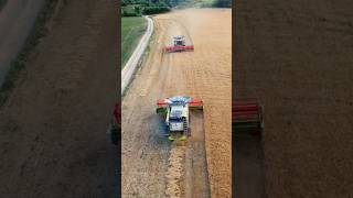 żniwa2024 short shorts harvester rolnictwo agriculture harvest rolnik oporowo claasaxion [upl. by Htomit]