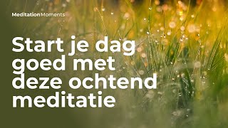 Heerlijke geleide ochtend meditatie  Michael Pilarczyk  Meditation Moments  Mindfulness [upl. by Valenza120]